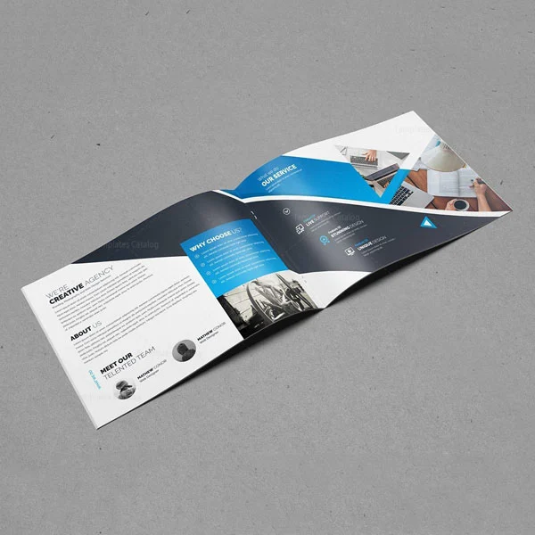 Brochure Printing